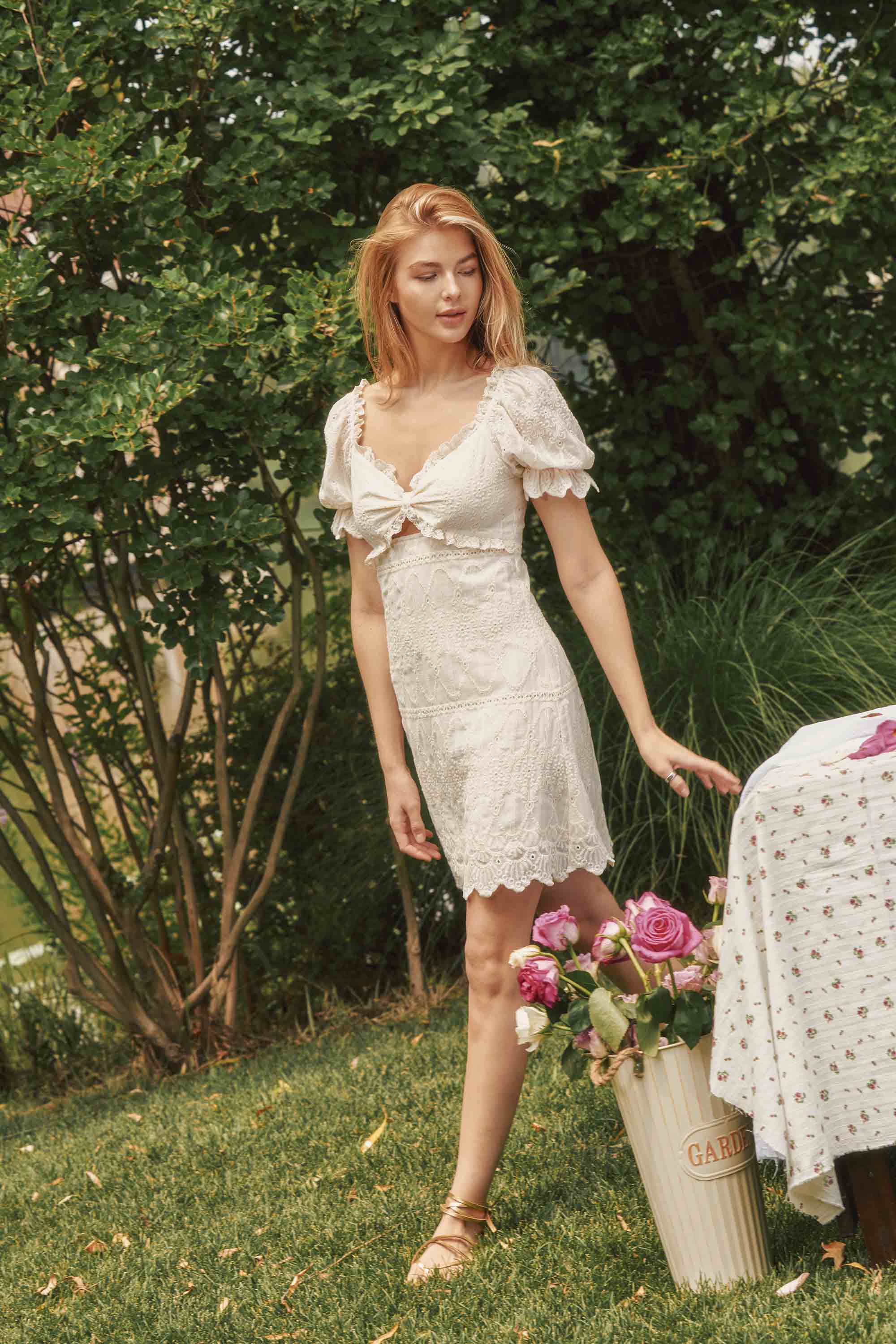 Hattie Embroidery Chiffon Mini Dress